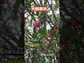 2024年6月10日