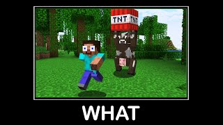 WAIT WHAT (Minecraft) #40