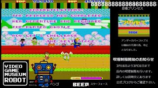 ≪コメント付き≫VGMロボット深谷店【忍者プリンセス】