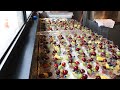 [ENG]소풍 과일 도시락에 딱! 과일컵 200개 만들기, 파인애플자르는 방법 /Preparing 200 fruit cups, how to cut a pineapple