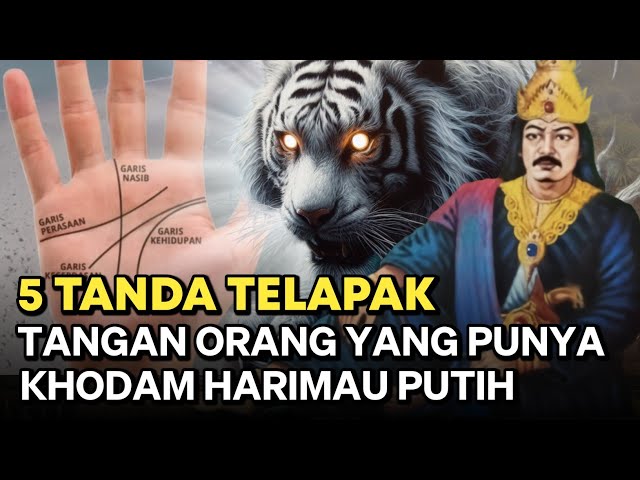 MACAN GAIB SILIWANGI ‼️ 5 CIRI TELAPAK TANGAN ORANG YANG DISUKAI KHODAM MACAN PUTIH class=