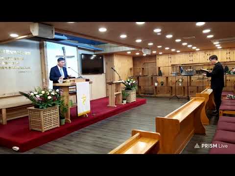 화정빛의숲교회 주일 낮 예배(2025/11/23)