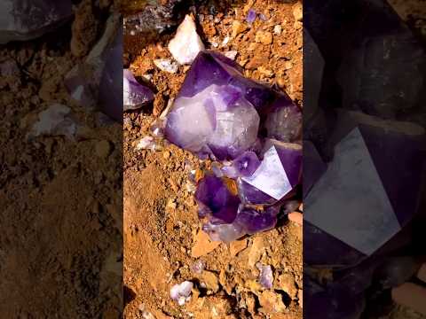 Vídeo: Em que tipo de rocha a ametista é encontrada?