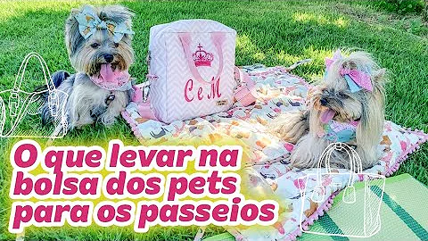 Onde passear com seu pet?