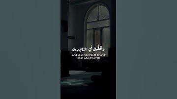 و توكّل على العزيز الرحيم…|| سورة الشعراء #ايات_قرانية_قصيرة #ارح_سمعك #قرآن #هيثم_الدخين