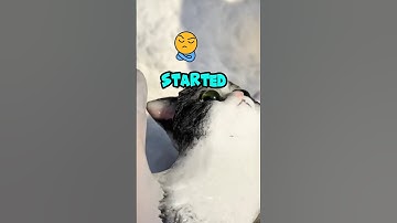 Nowadays, Anything Can Cause Cancer @tyler.vitelli #shorts #funny