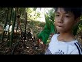 Review Nướng gà ngoài bụi tre