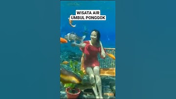 Thumbnail of Wisata Air Umbul Ponggok Klaten