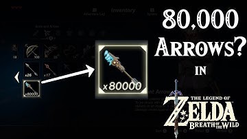 How To Get Tens of Thousands of FREE Arrows in Zelda Breath of the Wild (Inventory Corruption)!