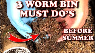 Worm Bin Changes To Make In The Summer | Vermicompost Worm Farm