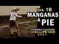 MANGANAS A PIE dia 18 FINAL - Torneo Don Lupe Vive 2021