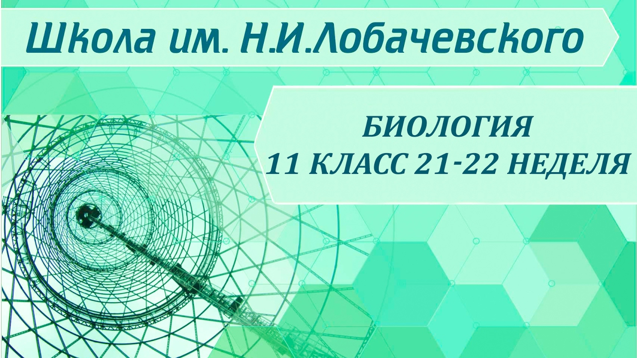 ⁣Биология 11 класс 21-22 неделя Экологические факторы