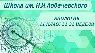 Биология 11 класс 21-22 неделя Экологические факторы(Биология 11 класс Экологические факторы Из этого занятия Вы узнаете: - Понятие экологии. - Классификация..., 2017-02-05T11:29:31.000Z)