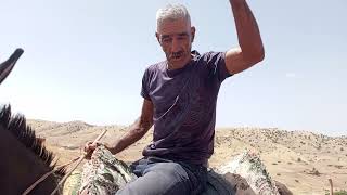 كول تيغراد ديالك قبل ماتكلك الارض...سويفي لا لة العروسة والشواري