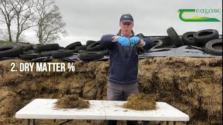 Visual assessment of silage quality