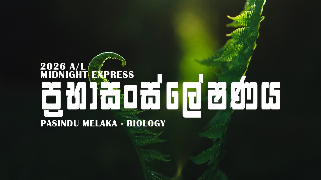 Midnight Express Ep 07 | ප්‍රභාසංස්ලේෂණය - Photosynthesis | 2026 | Pasindu Melaka