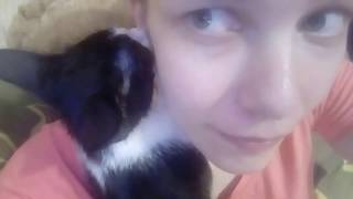 VLOG № 61 Котёнок скучает по маме. VLOG № 61 Котёнок скучает по маме.