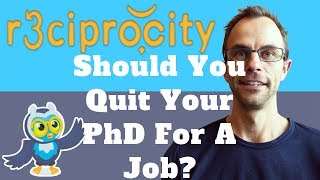 Should I Quit My PhD For A Job? Quitting PhD Regret Or Quitting PhD Best Decision?