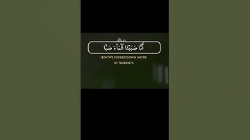 فلينظر الانسان الى طعامه -تلاوة تريح القلب