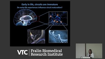 How Early-life Experiences Sculpt Brain Circuits to Promote Resilience or Vulnerability