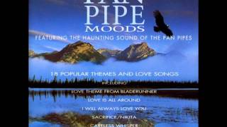 Pan Pipes Moods - 18 Popular Themes and Love Songs screenshot 5