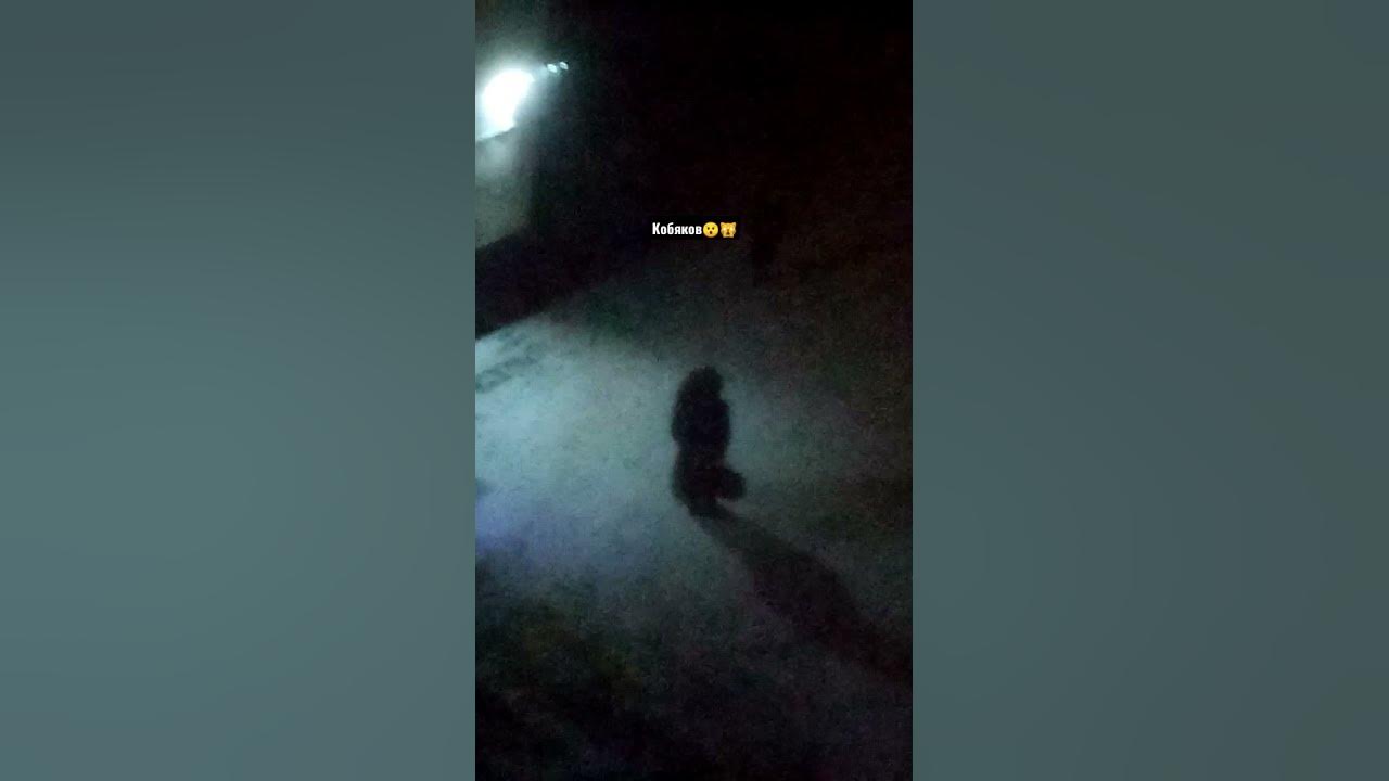 кобяков 🙀😯 - YouTube