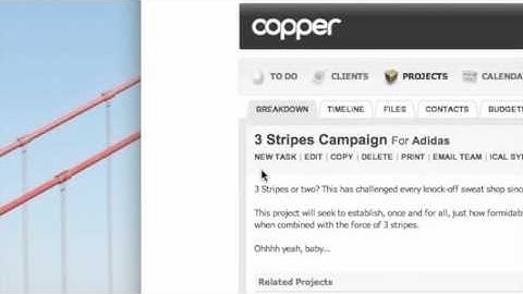 Clients, Projects and Tasks - Copper Project Management Software