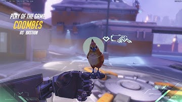 Zylbrad Senpai Please Notice Me!