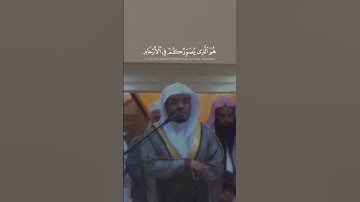 سورة ال عمران #اكسبلور #دويتو #المصحف #explo #لايك #الرحمن #تيك_توك #القزابري #ترند #الطحان