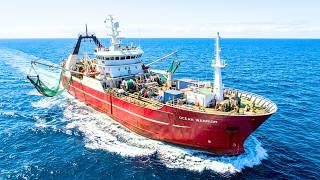 Life On World’s Most ADVANCED Prawn Trawler Worth $15 MILLION