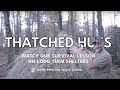 Survival Shelter-Thatched Hut Basics