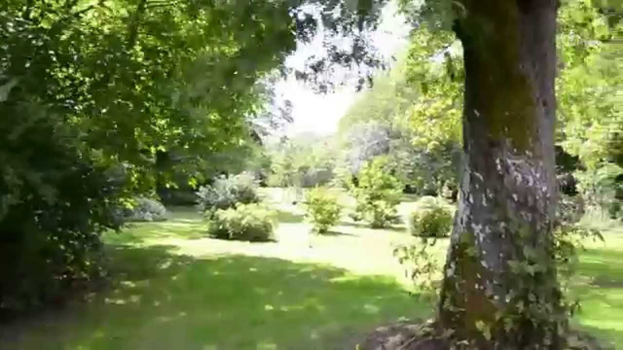 R4372 vendredi sur mer larme à gauche
