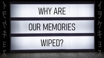 Memory Wipe Theory: What Are We Not Supposed to Remember?
