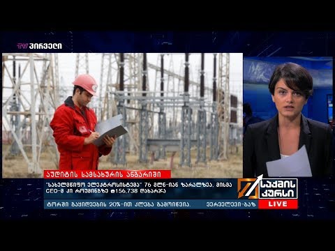 „სახელმწიფო ელექტროსისტემა“ 76 მლნ იან ზარალზეა, მისმა CEO მ კი როუმინგზე ₾156,738 დახარჯა