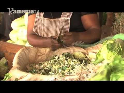 Andu ikumi guikio ngono thoko-ini ya City Park guku Nairobi mungururio-ini wa kuhitana na minyore