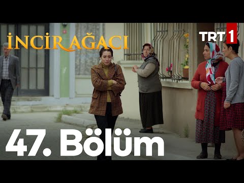 İncir Ağacı 47. Bölüm