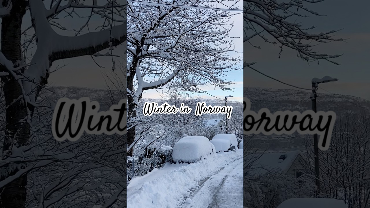 Life is better in the snow 