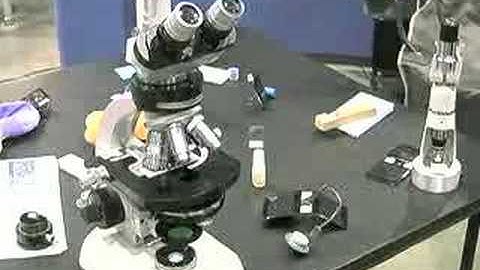 Do-it-yourself Specialists Show Their Wares at Maker Faire