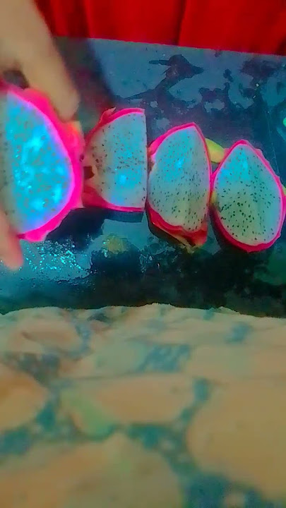 #song #arrahman  #funny snacks