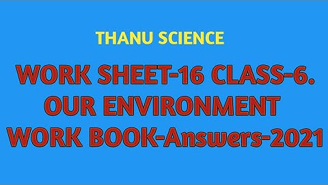 ##BRIDGE COURSE| WORK SHEET-16| OUR ENVIRONMENT| CLASS 6| WORK BOOK| Answers| 2021