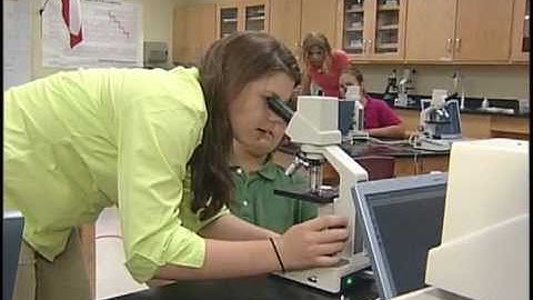 Introduction to the TPSP