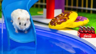 AQUAPARK MAZE FOR HAMSTER! Hamster Escapes the Pool Maze for Pets