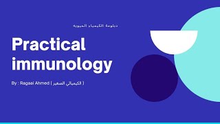 practical immunology-عملي  مناعه دبلومه_الكيمياء_الحيويه (Widal test - Burcella test - ASOT - CRP)