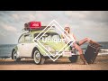 Gryffin You Remind Me Ft Stanaj mp3
