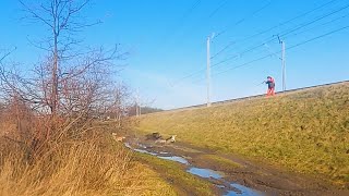 видео: Охота на кабана - вот как бывает картинка: Охота на кабана - вот как бывает