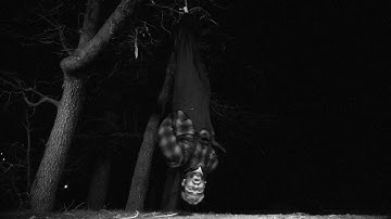 Talkless - Why (Official Music Video)