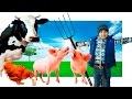 Животные для детей Ферма и домашние животные Farm Animal for kids Видео для детей