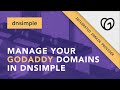 How to manage your GoDaddy domains within DNSimple using Integrated Domain Providers