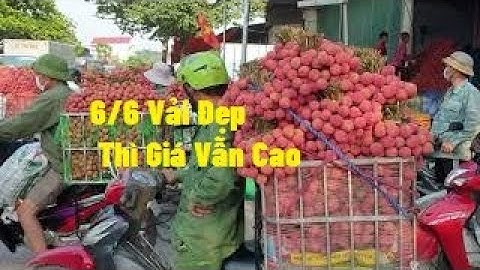 Vải Đẹp Thì Giá Cao 6/6/2021 Ngã Ba Cầu Chét l Vải Thiều Lục Ngạn Bắc Giang l Luc Ngan Litchi