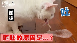 【豆漿 - SoybeanMilk】崩潰　一天跑了三間不同的醫院